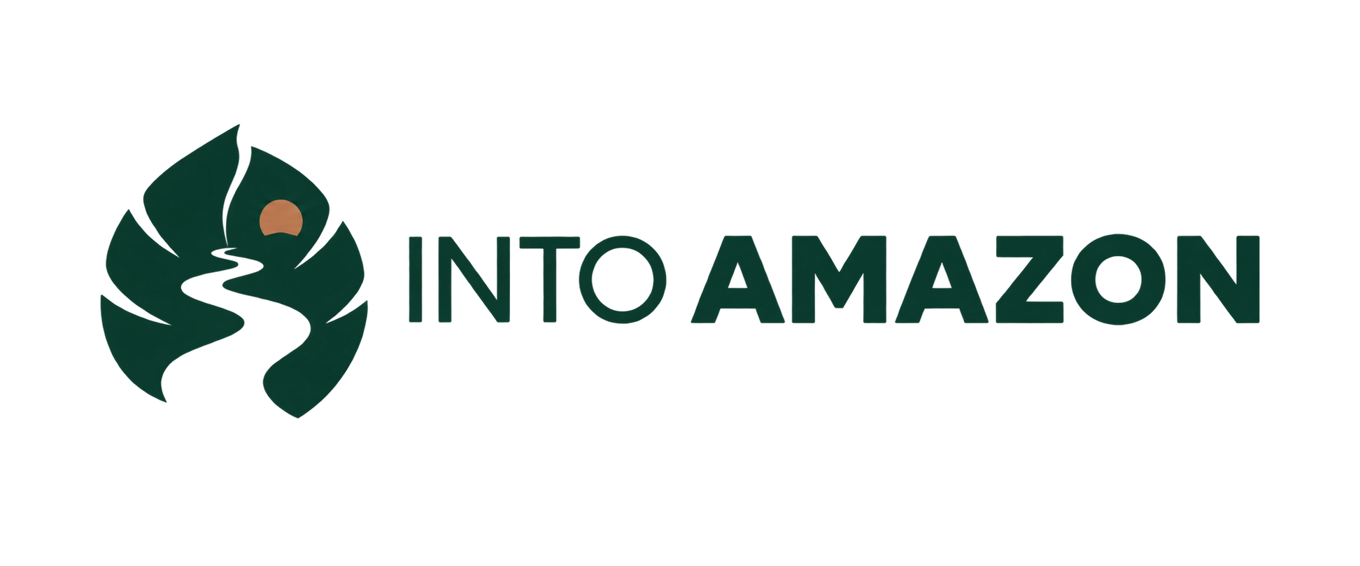 INTO AMAZON
